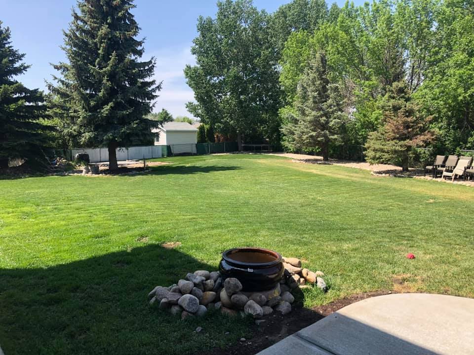 Lawn after restoration